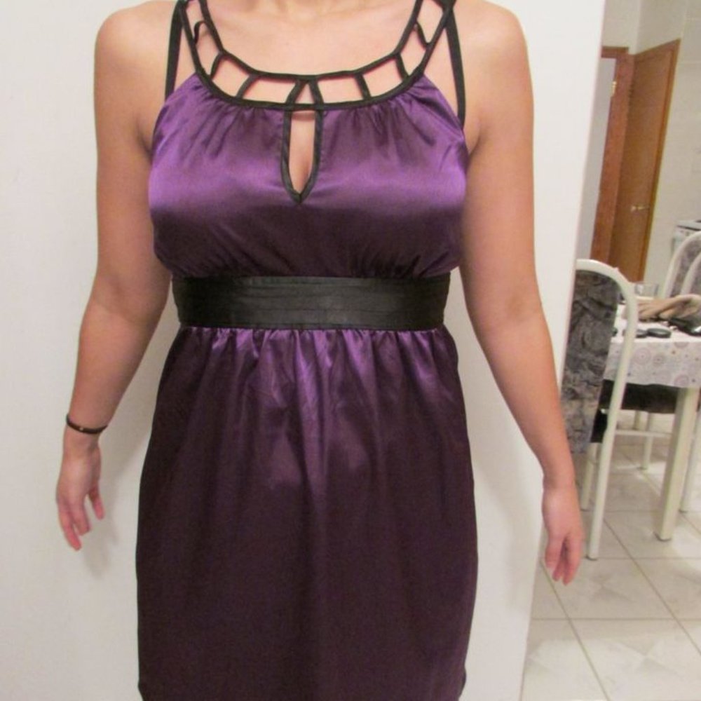 Purple Women's Dress Size Medium